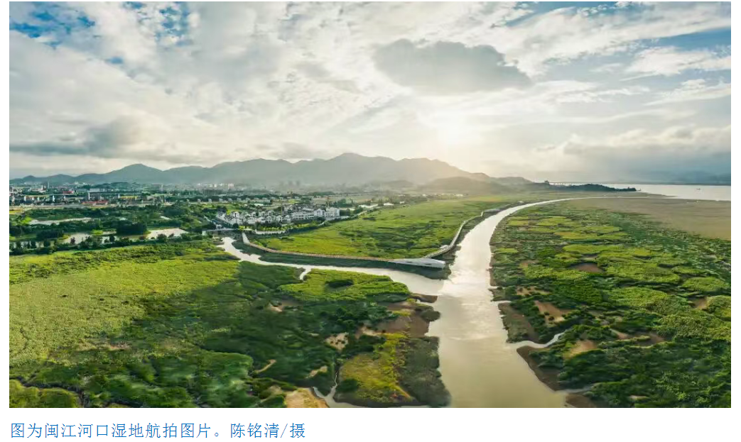 闽江河口“长”出新风景